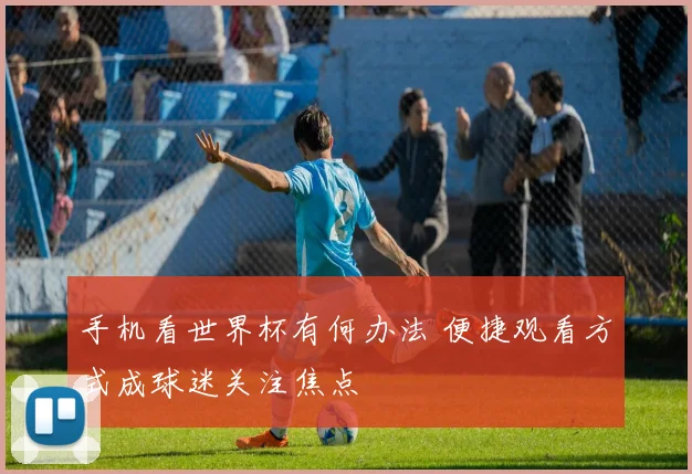 手机看世界杯有何办法 便捷观看方式成球迷关注焦点