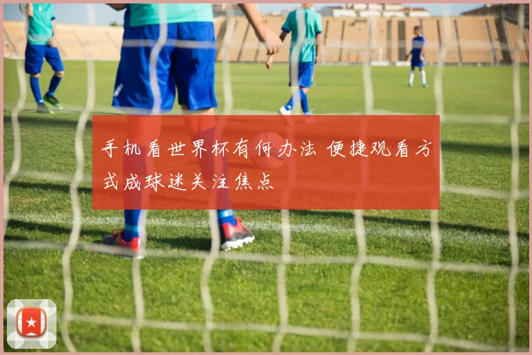 手机看世界杯有何办法 便捷观看方式成球迷关注焦点