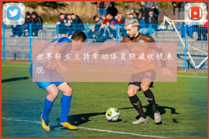 世界杯女主持牵动体育频道收视表现