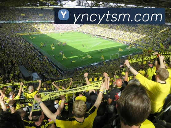 世界杯平台官网登录服务体系