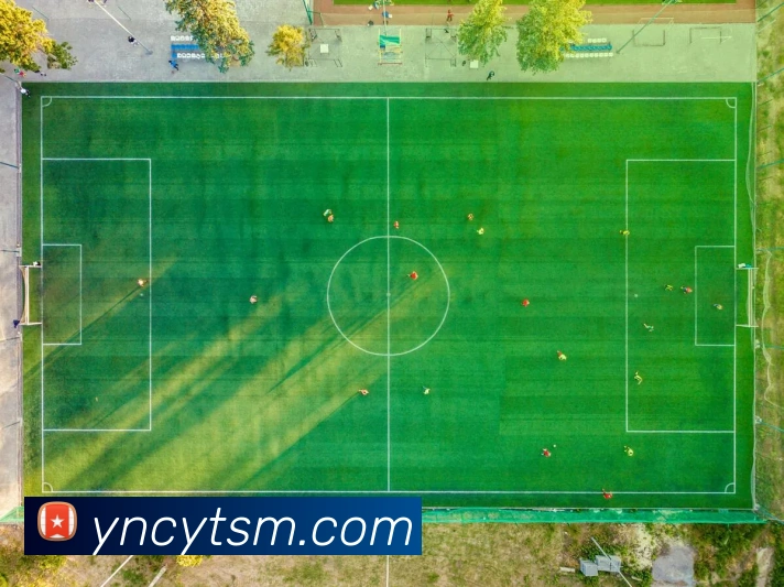 世界杯平台官网登录APP 体育赛事宣传图